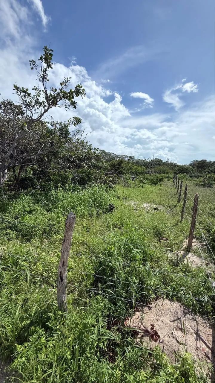 Terreno a Venda na Praia do Preá