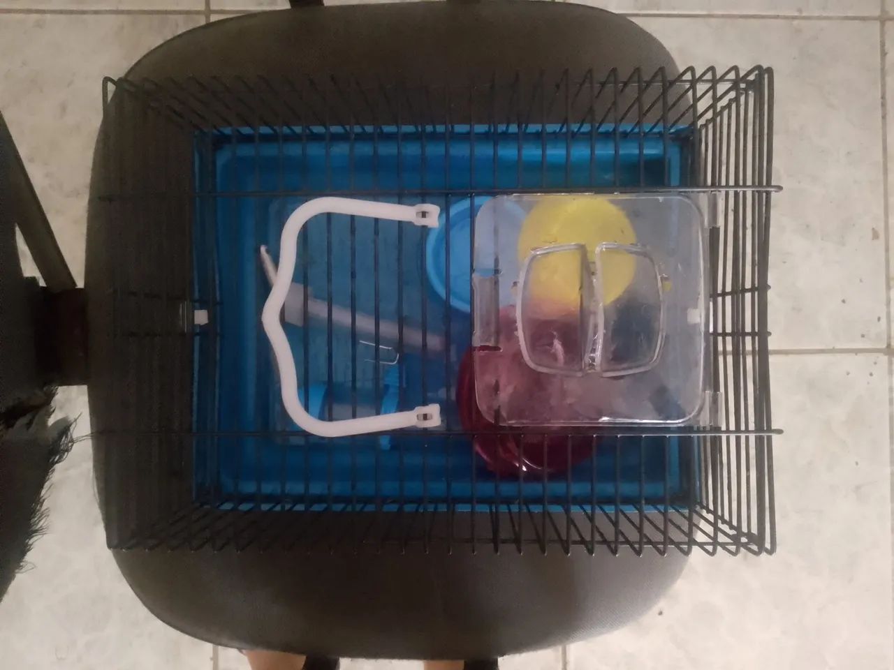 Gaiola de hamster e porquinho da india e outros roedores  - Foto 3