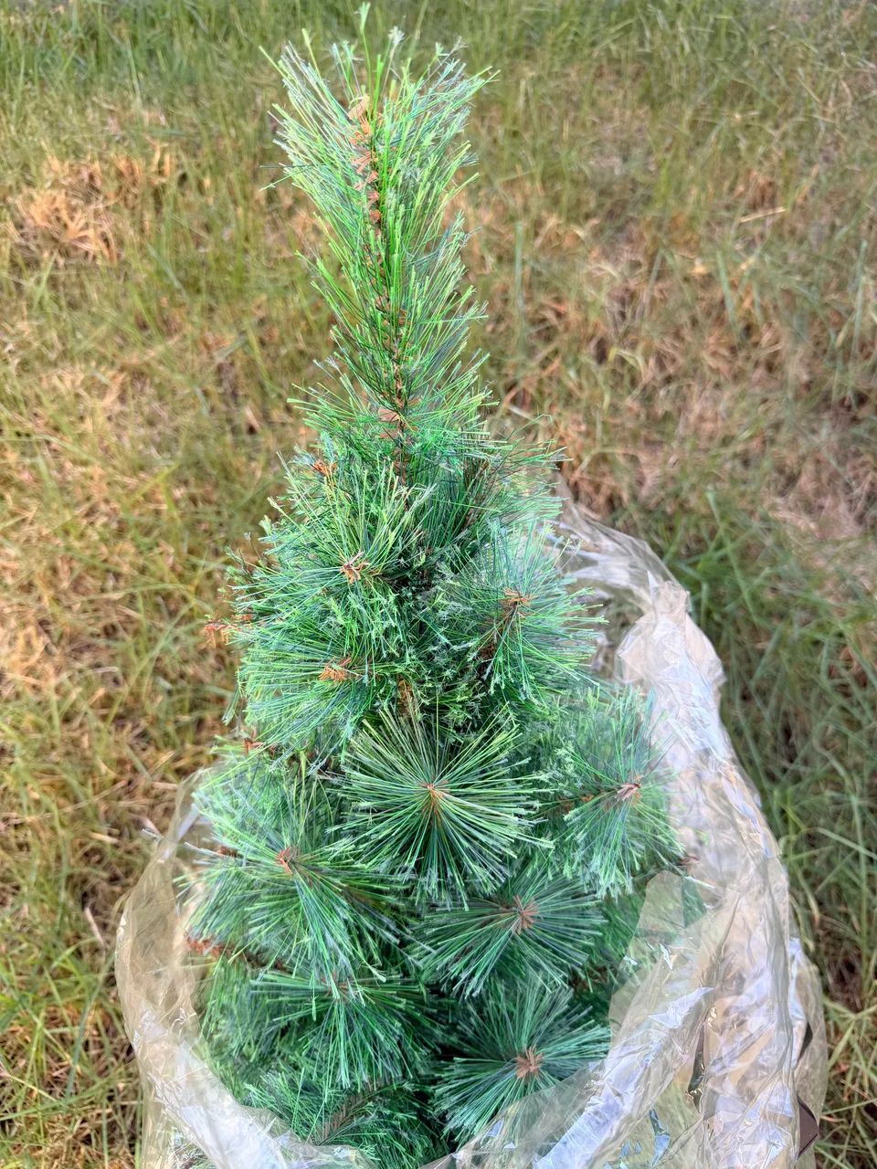 Árvore de Natal de mesa  - Foto 4