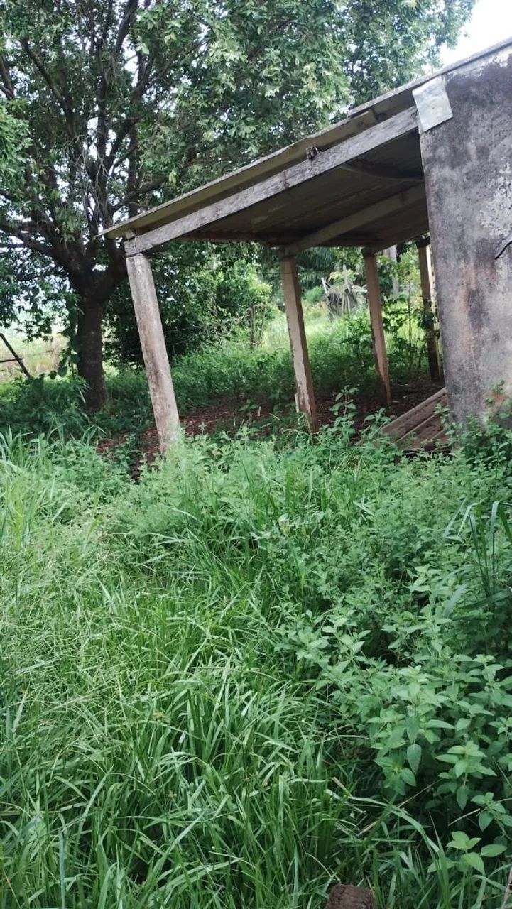 SITIO BEM LOCALIZADO CIDADE SABINO- SP - Foto 5