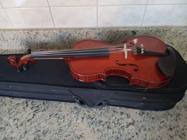 Violino 4x4 - Foto 2