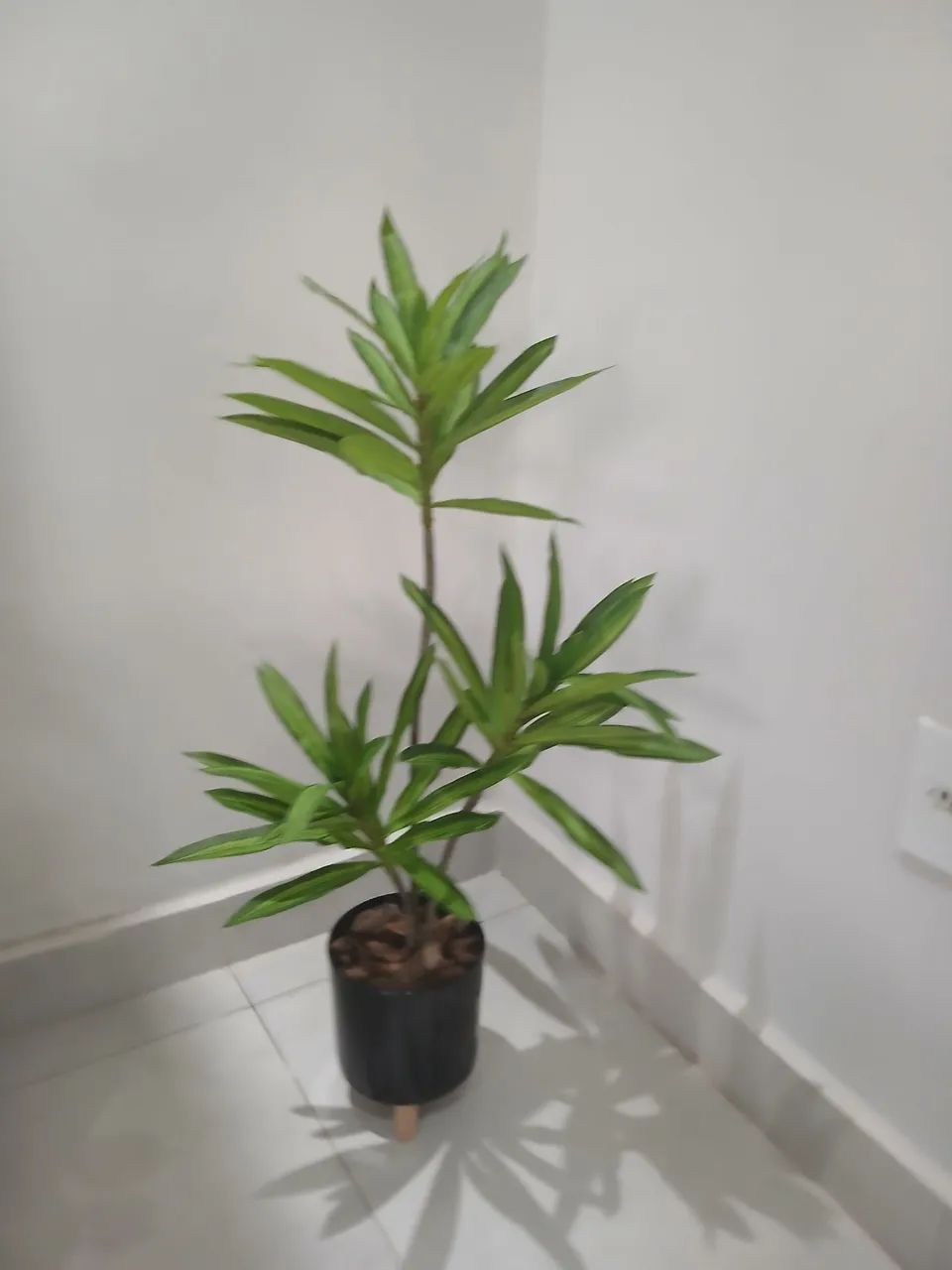 Vaso com planta artificial Yucca  para decoração  - Foto 5