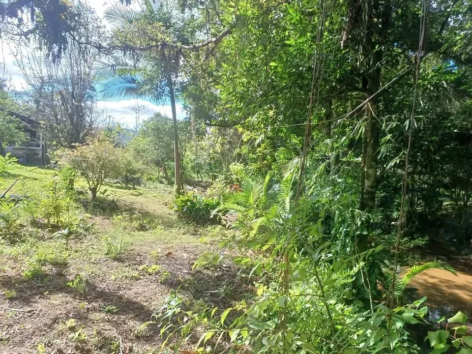 Sítio para venda possui 4 mil metros quadrados em Santo Amaro da Imperatriz - SC - Foto 4