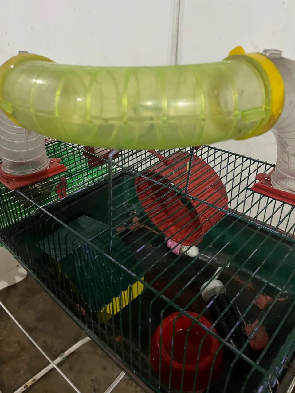Cage65570202294019121