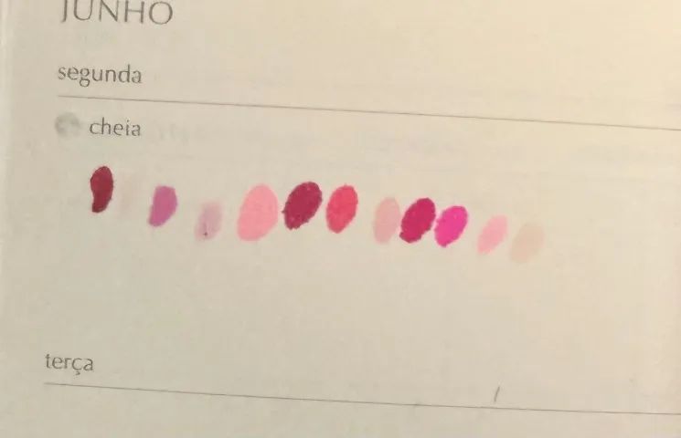 COPIC + LE PLUME - ROSAS - 12 CANETAS - Foto 2