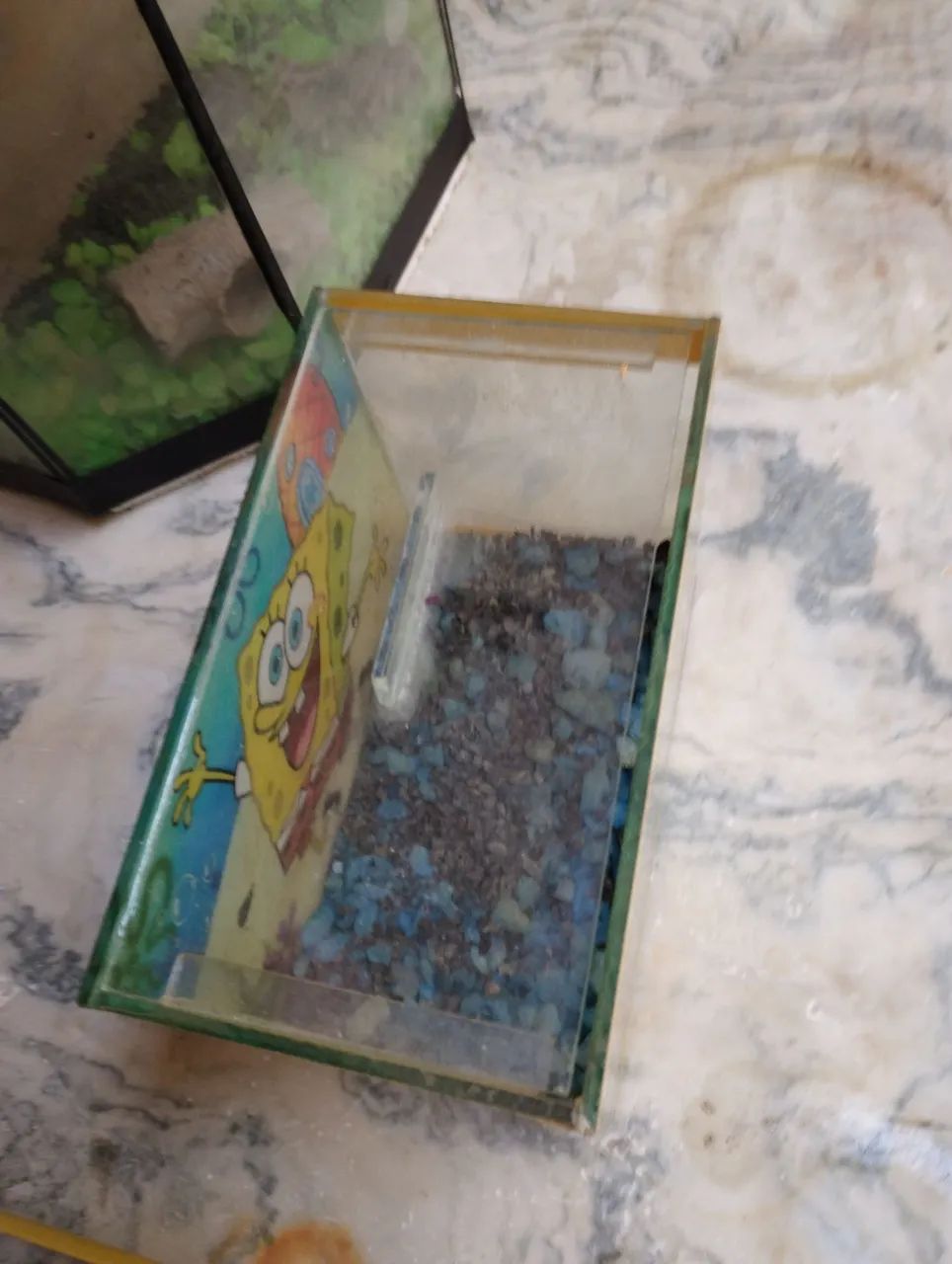 Aquário Beteira(Bob Esponja) - Foto 4