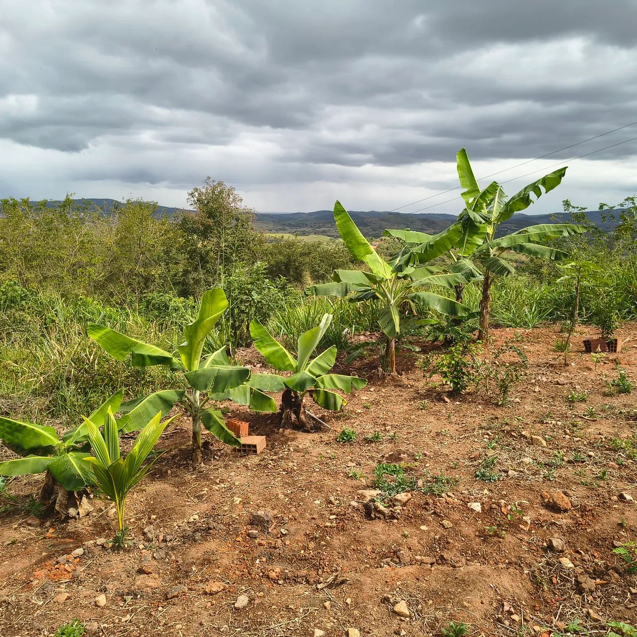 4 equitario no cidade será dá Raí  - Foto 2