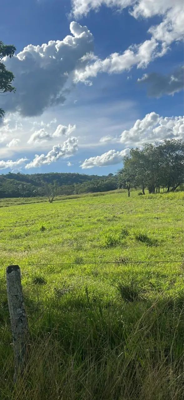 Fazenda dupla aptidão município do Prata 
