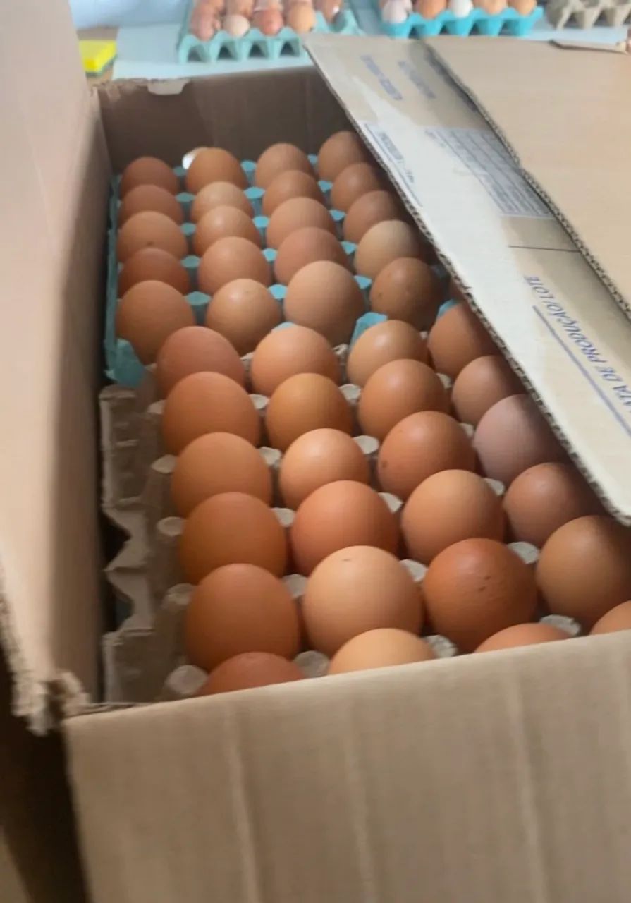 Ovos de galinha Caipira  - Foto 2