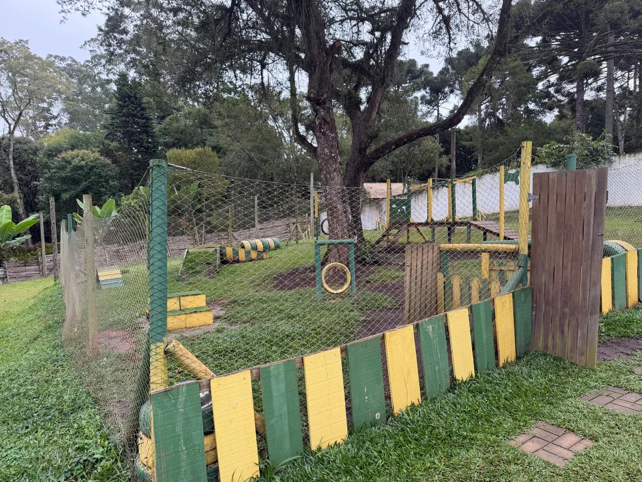 Hotel, creche e centro de treinamento de cães