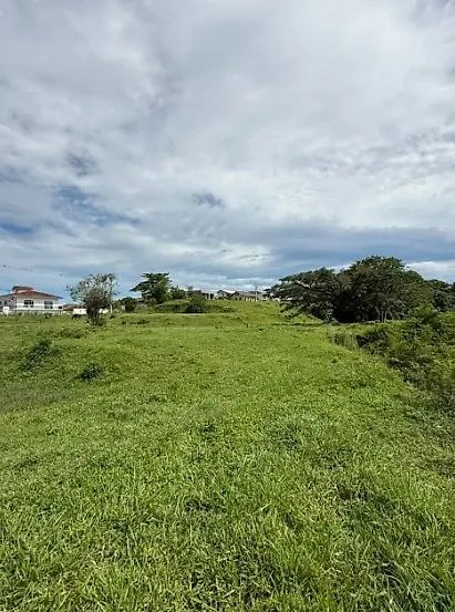 Área de Grande Porte na SC-281  São José - Foto 5