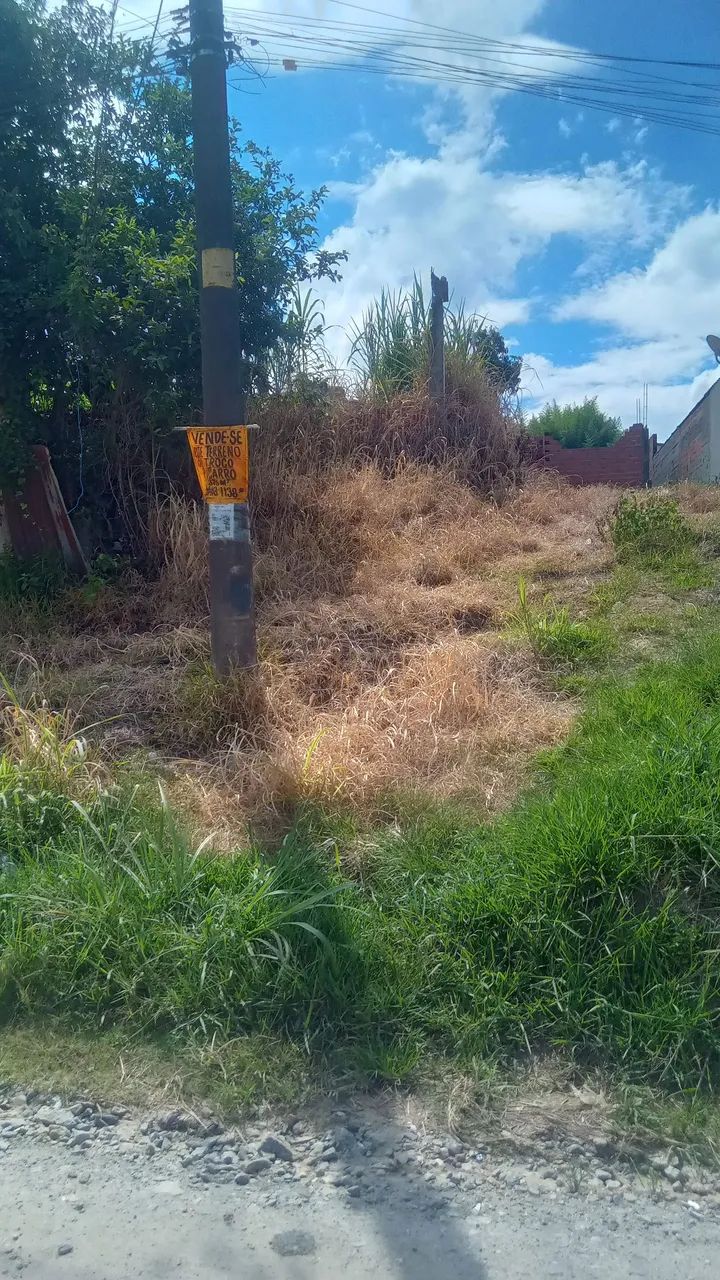 Foto - Suzano - Jardim Chácara Méa