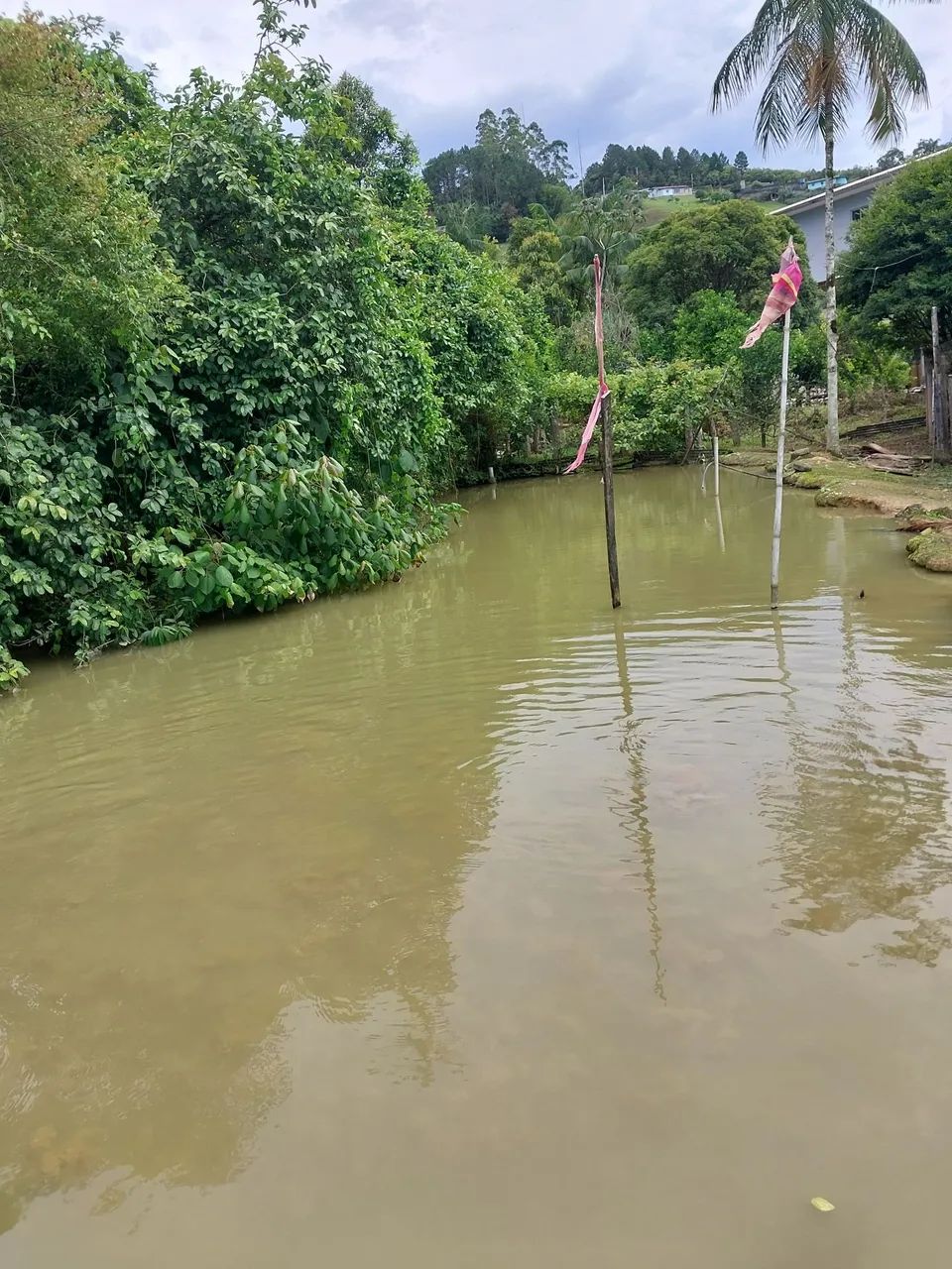 Vende-se linda chácara  - Foto 2