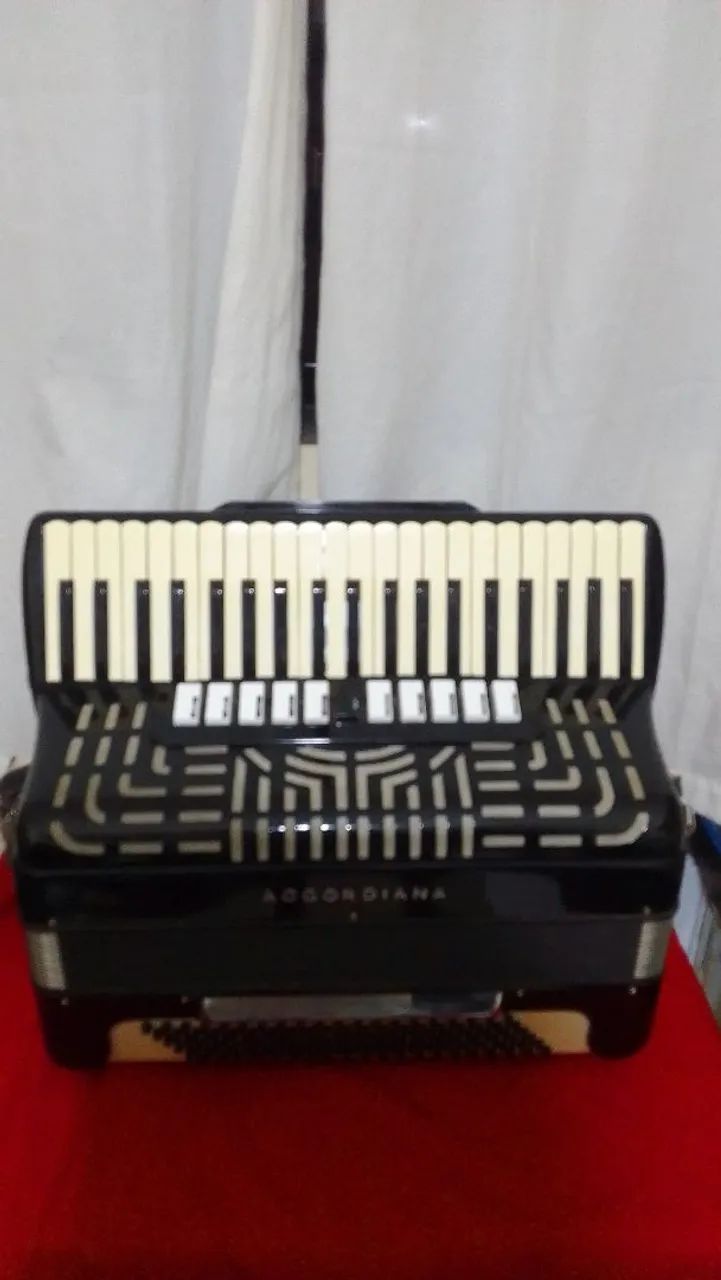 Acordeon  - Foto 3