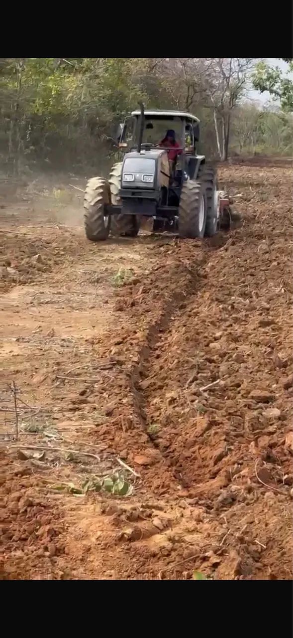 Trator BM 110 valtra - Foto 4