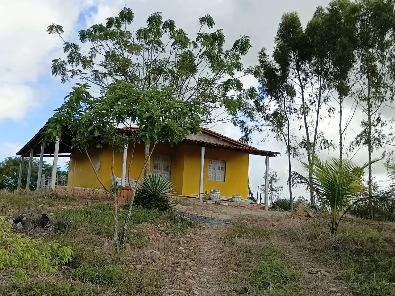 .Chácara 7 km da cidade - Foto 3