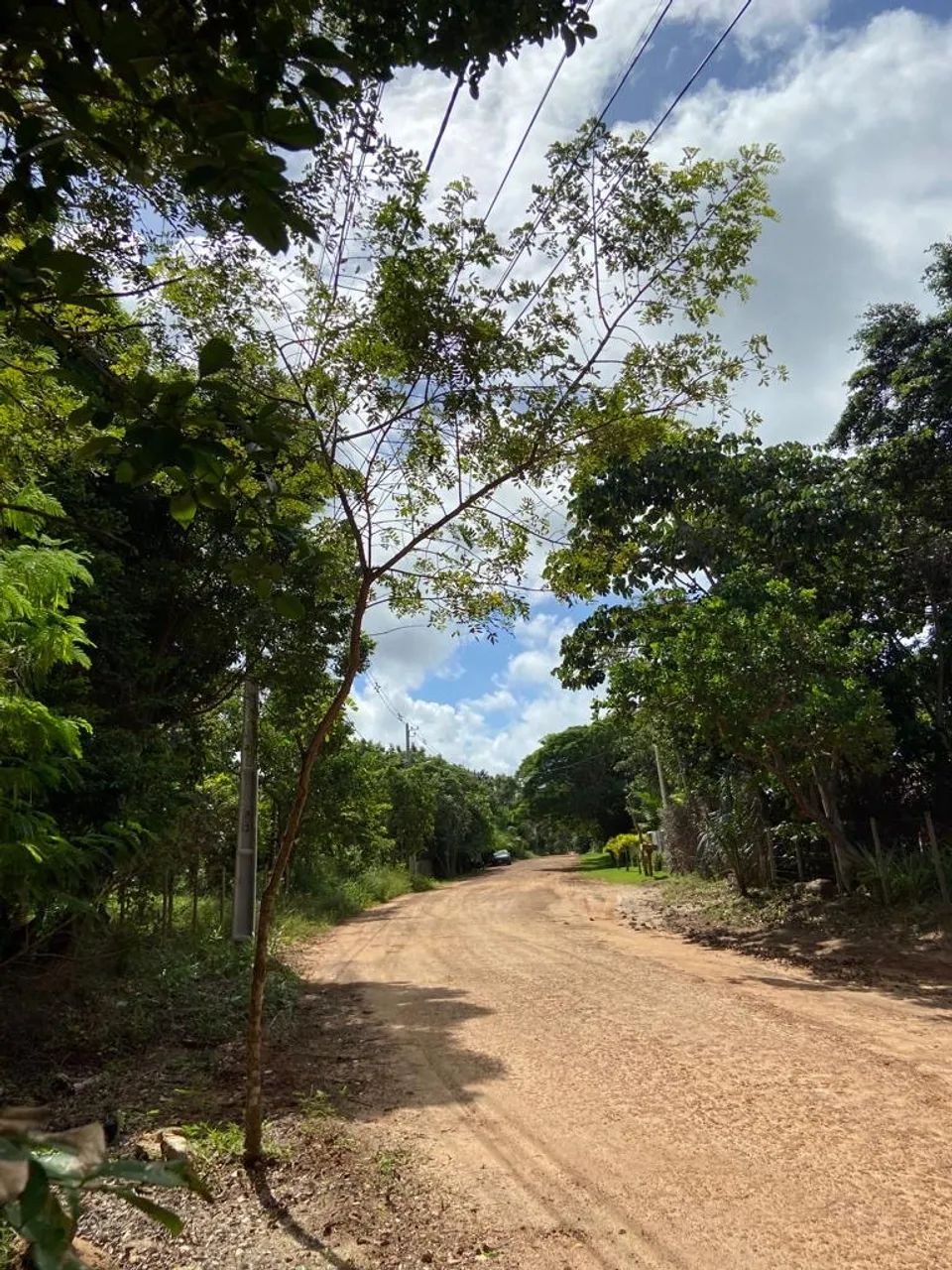 TERRENO A VENDA - ARUÁ / PRAIA DO FORTE - Foto 5