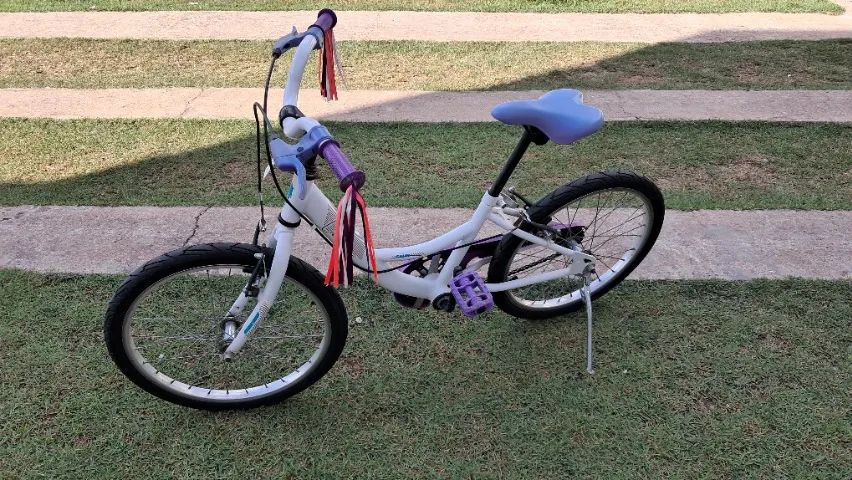 Bicicleta Caloi Aro 20