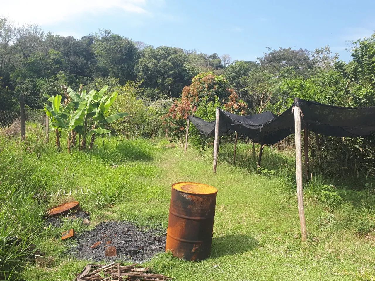 Vendo ou troco . Chacará com casa no limoeiro . Escriturada - Foto 5