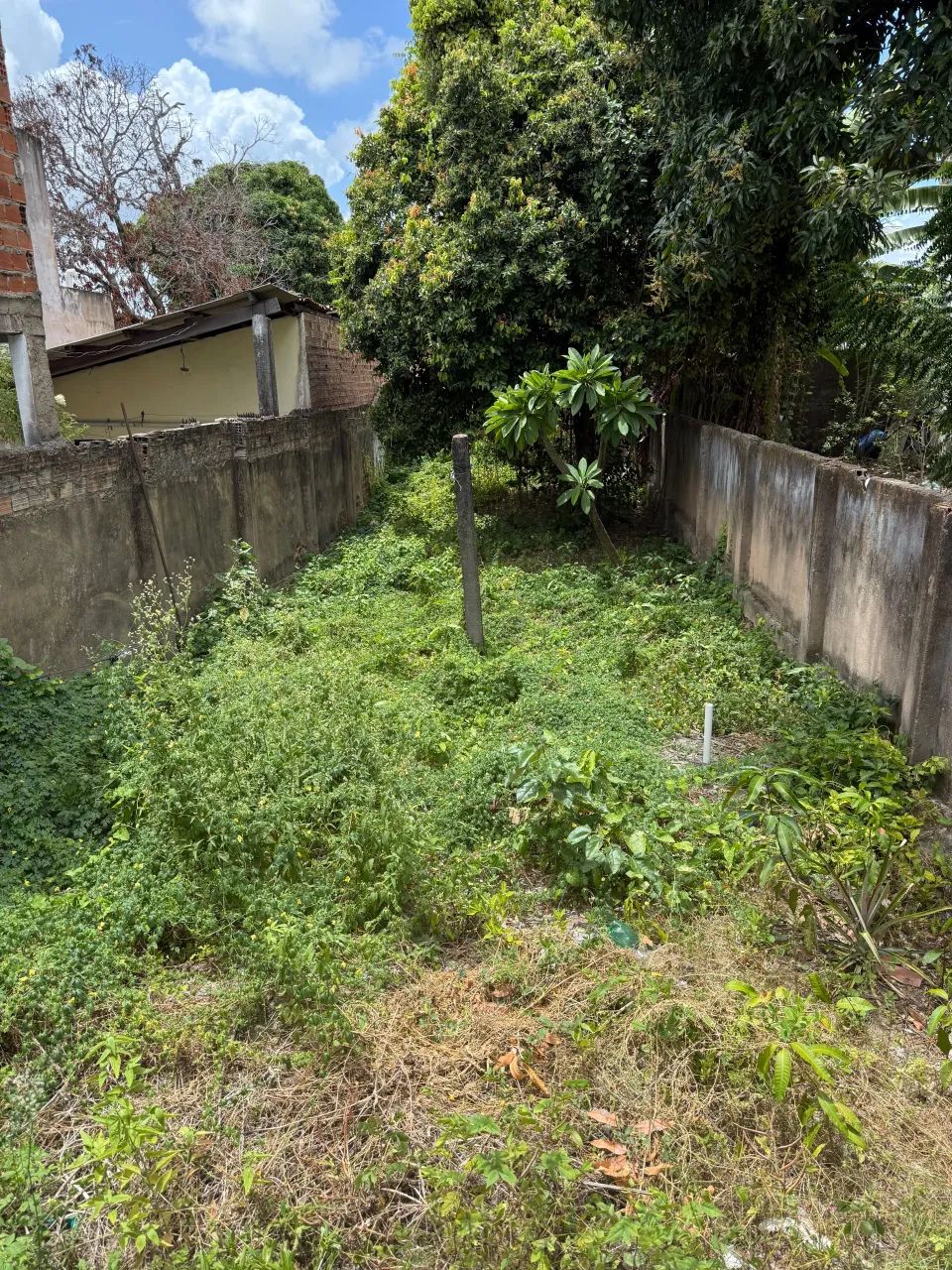 Casa à venda, JACINTINHO, Maceió, AL - Foto 5