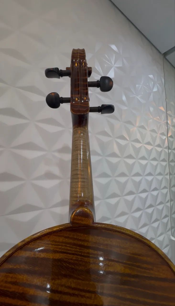 Violino - Foto 4