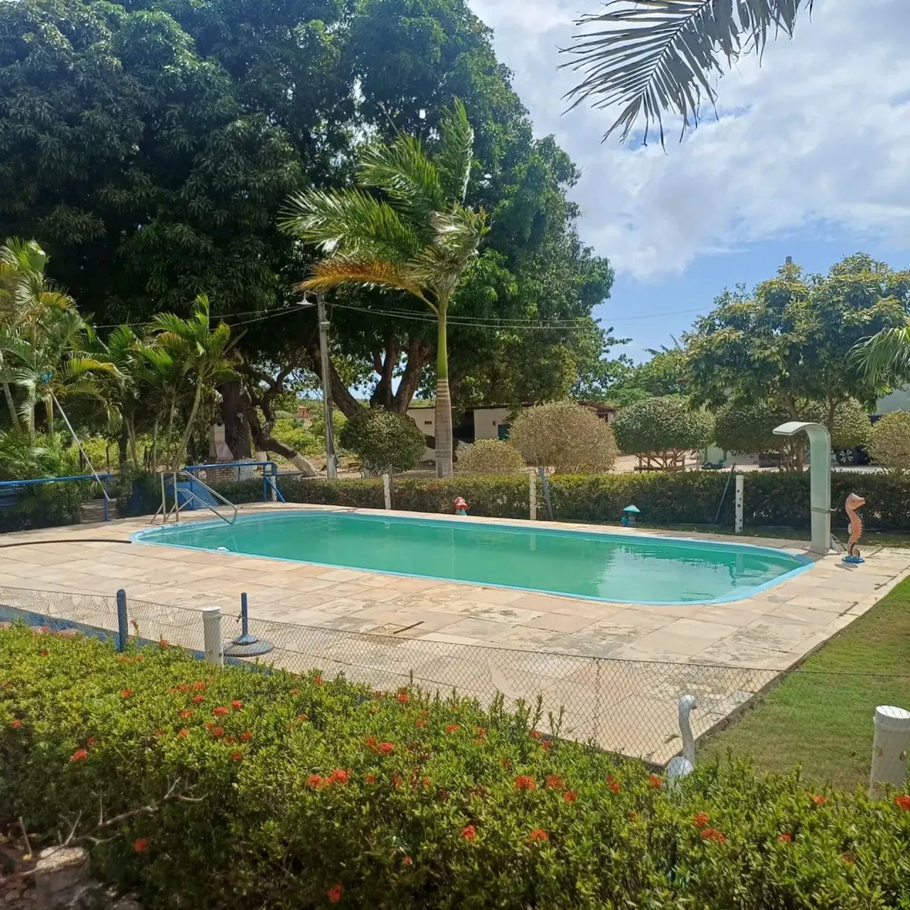 Sitio com 4 Hectares em Cascavel - Barra Velha - Foto 2