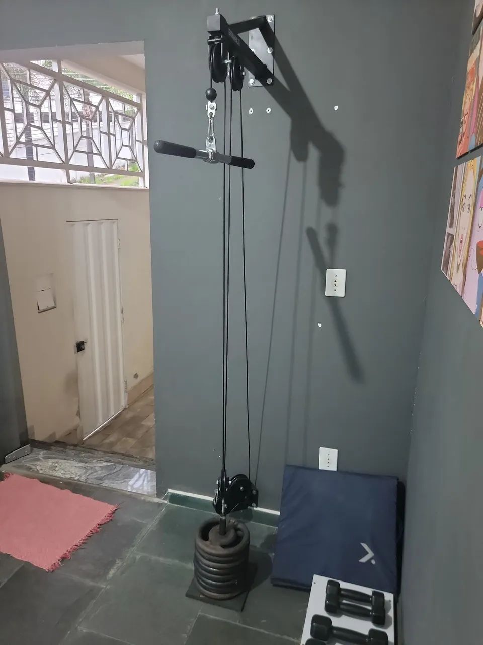 Musculação 
