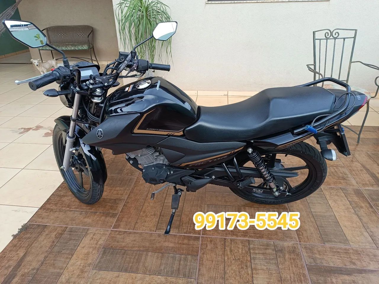 YBR factor 150 2024