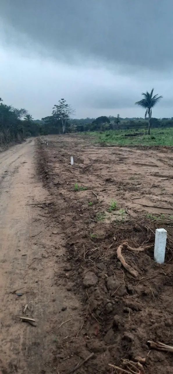 Repasso Terreno  - Foto 4
