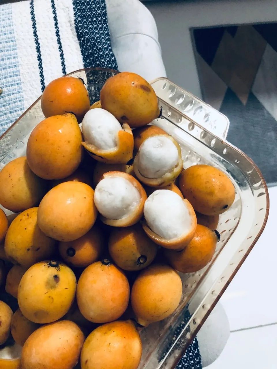 Achachairu Fresquinho Direto do Pomar para sua Mesa! - Foto 2