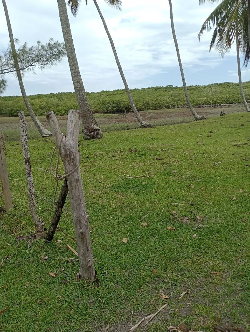 Vasco da Gama - Foto 5