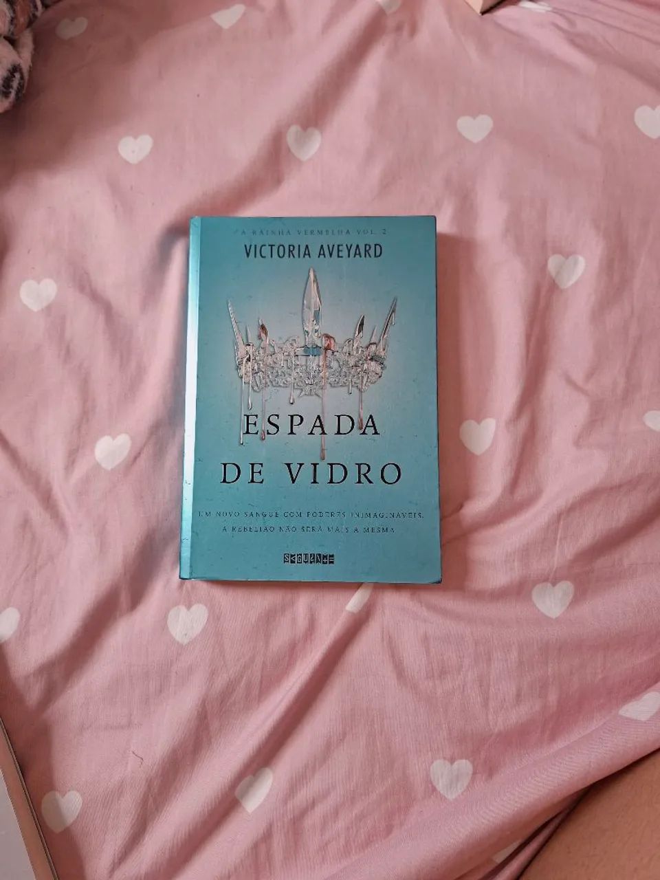 Livro espada de vidro 