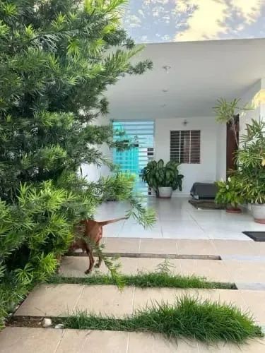 vendo casa em pitimbu VN03 - Foto 3