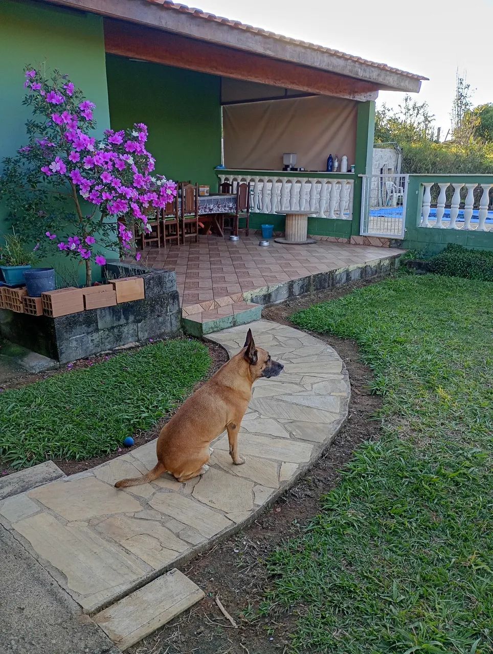 Vendo sítio com 20.000 - Foto 3