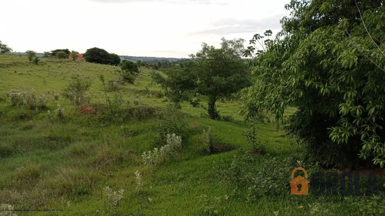 Sítio para Venda em Campo Mourão, Zona Rural - Foto 4