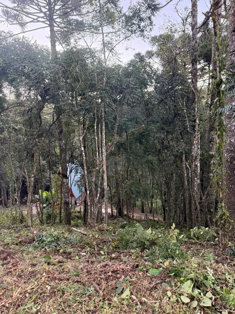 Lote em área rural chácaras  - Foto 3