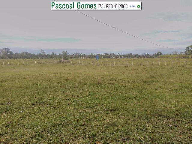 95 % Plana, Prado, Bahia