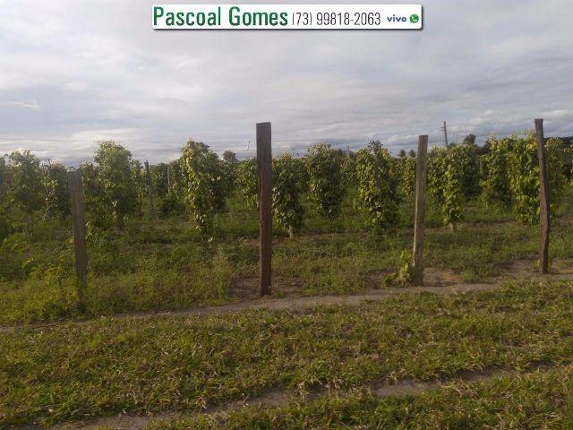 95 % Plana, Prado, Bahia - Foto 15