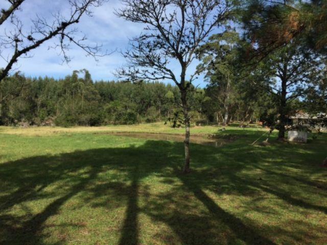 Terreno - Foto 10