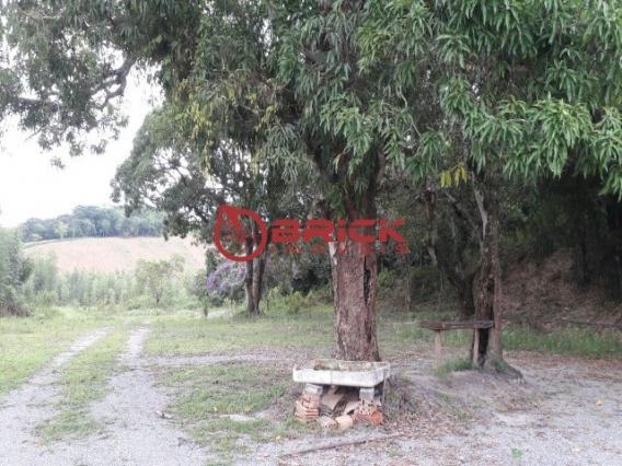 Terreno com 40.000m² e com 5.000 pés de eucalipto em papucaia - Foto 9