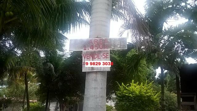 BON: Cod 1920 Parque Hotel - Araruama - Foto 15