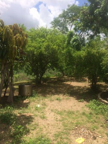 Fazenda-Granja-Sítio-Chácara 12 Hectares Aliança, Aceito Imóvel ou Automóvel - Foto 5