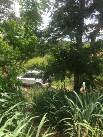 Fazenda-Granja-Sítio-Chácara 12 Hectares Aliança, Aceito Imóvel ou Automóvel - Foto 18