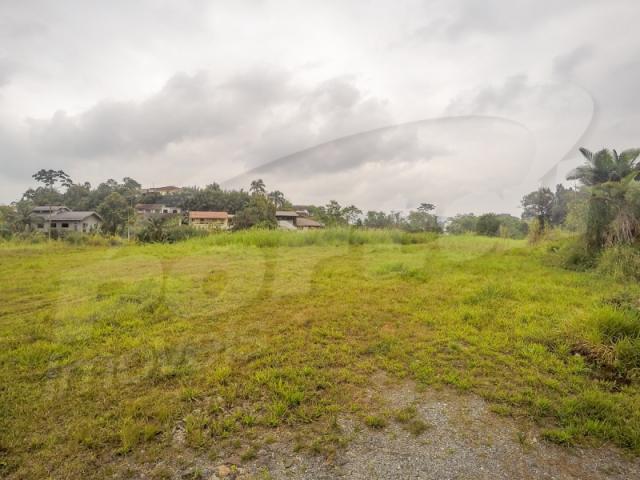 Terreno com aproximadamente 2.500 m², no bairro badenfurt . - Foto 4