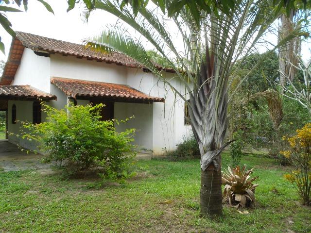 Caetano Imóveis - Sítio todo arborizado, plano e com acesso asfaltado (confira!) - Foto 3