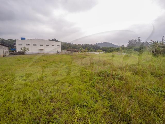 Terreno com aproximadamente 2.500 m², no bairro badenfurt . - Foto 13