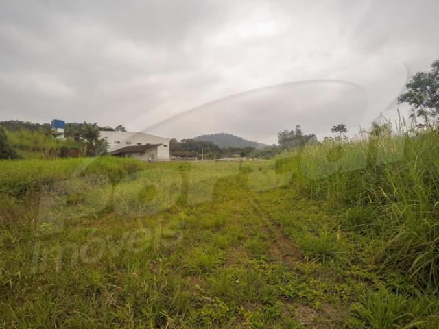 Terreno com aproximadamente 2.500 m², no bairro badenfurt . - Foto 9