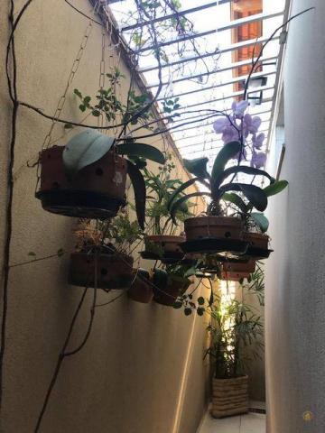 Apartamento com 3 dormitórios (1 suíte) à venda, 85 m² por r$ 270.000 - prolongamento jard - Foto 3