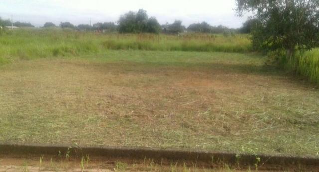 Terreno vila acre ramal bom jesus