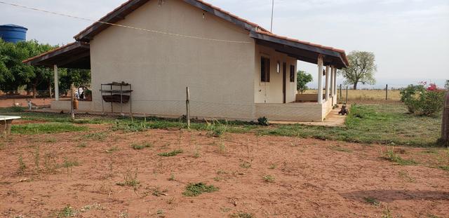 Fazenda 785 ha Pecuária R$ 9.420 milhões 67 km Campo Grande MS - Foto 6